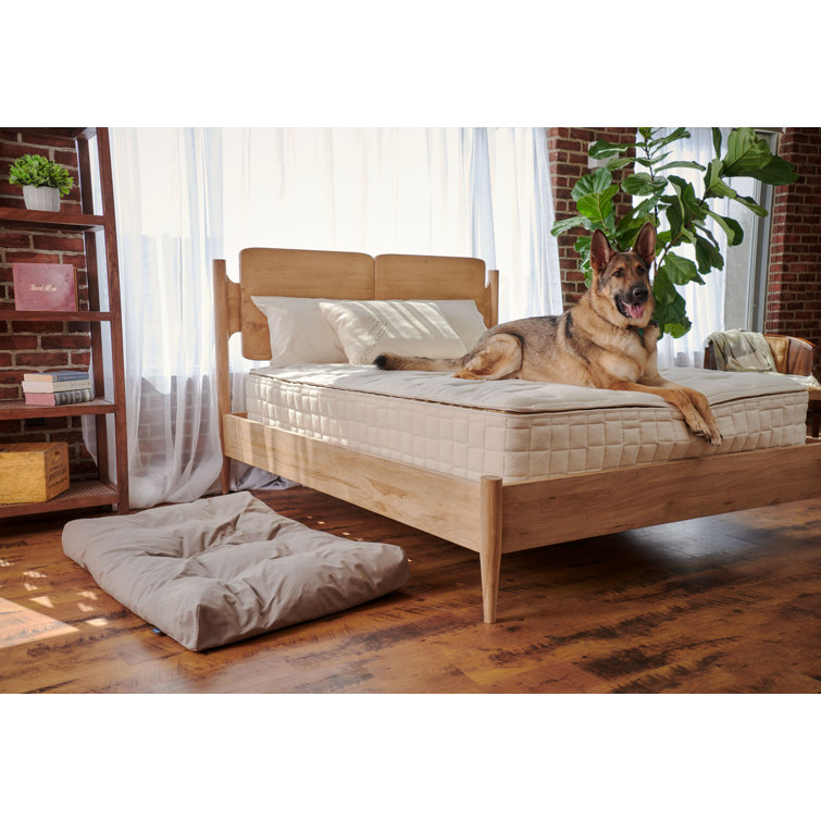 Medium Waterproof Organic Cotton Pet Bed