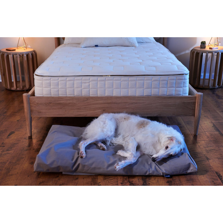 Medium Waterproof Organic Cotton Pet Bed