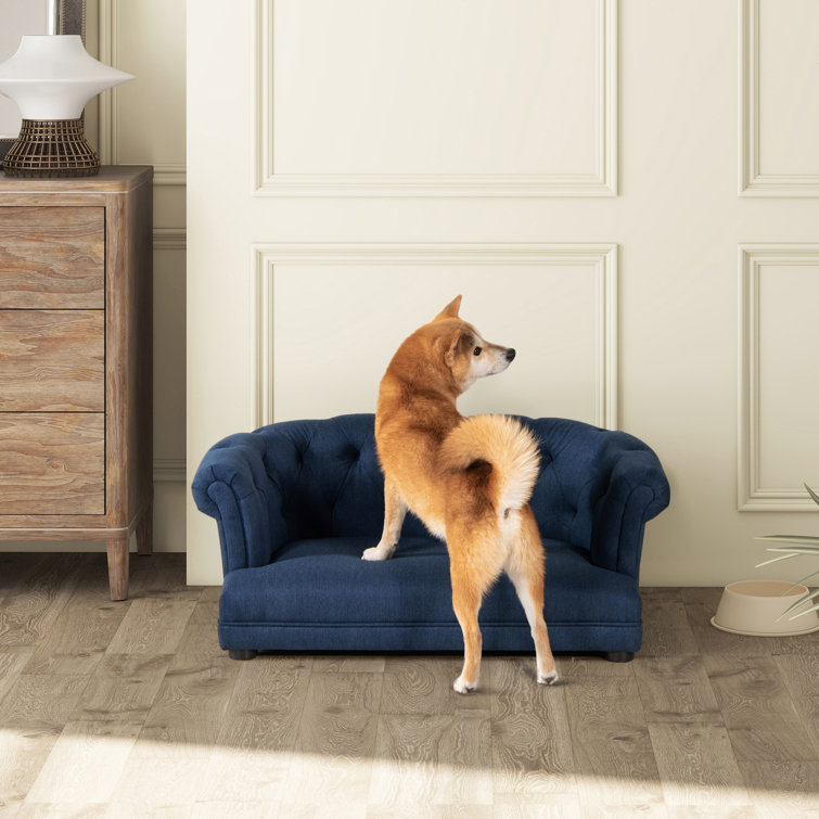Navy Chesterfield Medium Pet Sofa Bed with Pinewood Frame