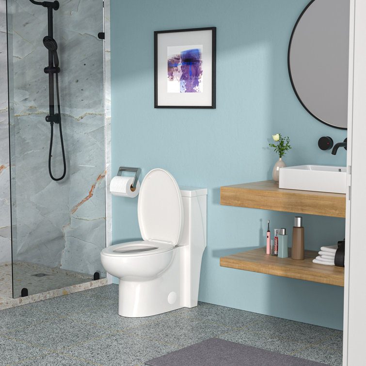 White Ceramic Elongated One-Piece Toilet with Soft-Close Seat
