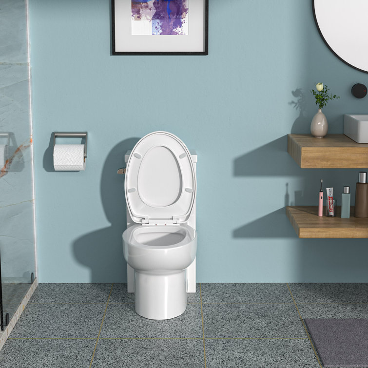 White Ceramic Elongated One-Piece Toilet with Soft-Close Seat