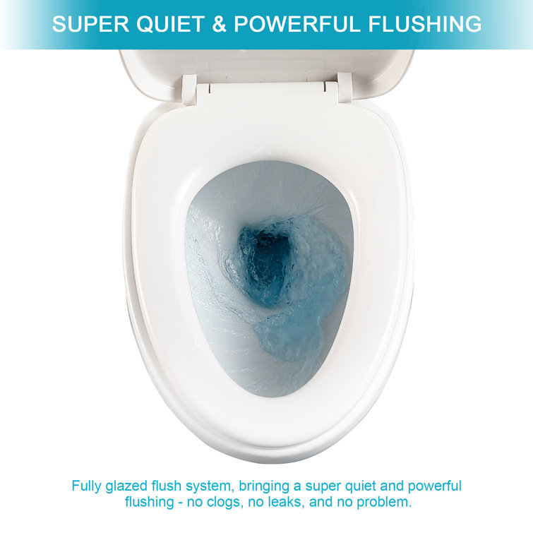 White Ceramic Elongated One-Piece Toilet with Soft-Close Seat