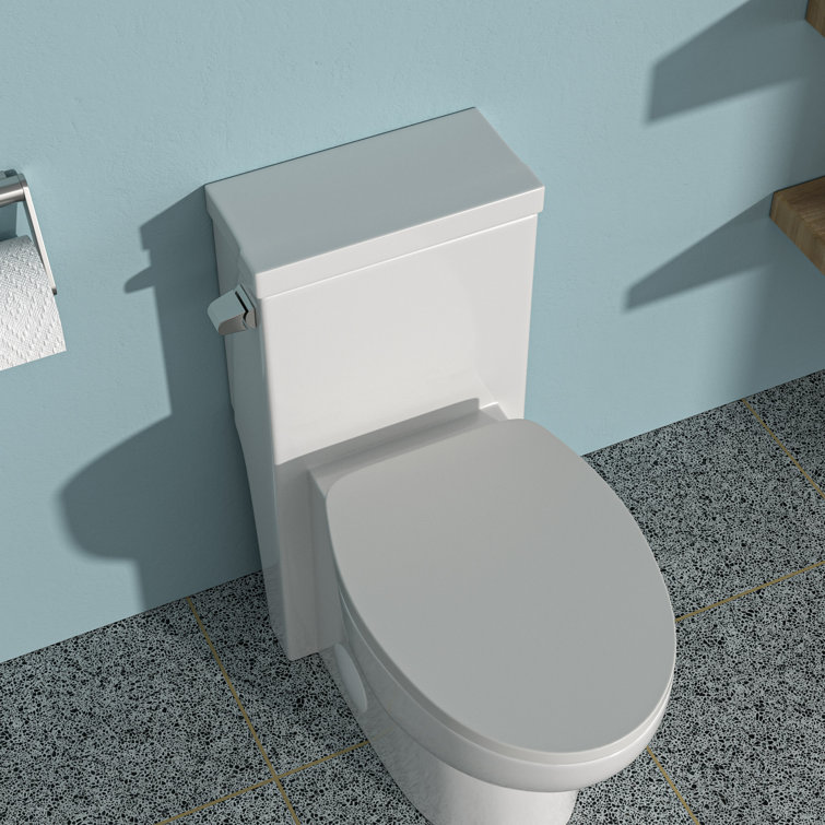 White Ceramic Elongated One-Piece Toilet with Soft-Close Seat