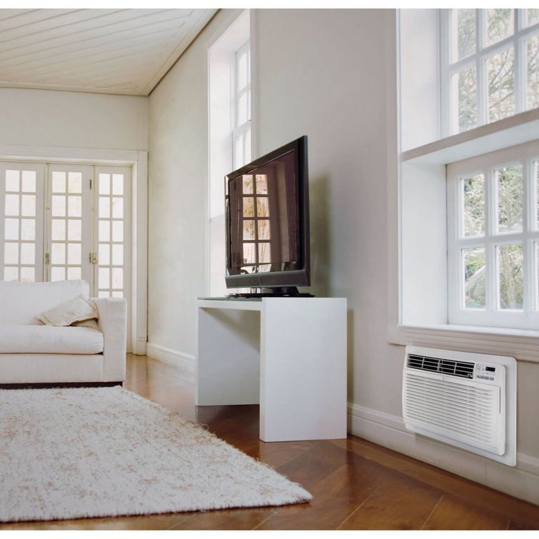 White 9,800 BTU Through-the-Wall Air Conditioner with Remote Control