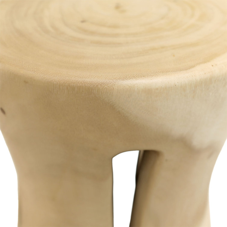 Natural Suar Wood Sculptural End Table