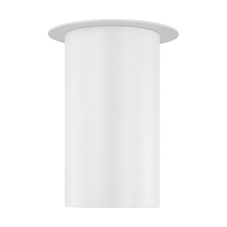 Matte White Glass Indoor/Outdoor Drum Flush Mount Light