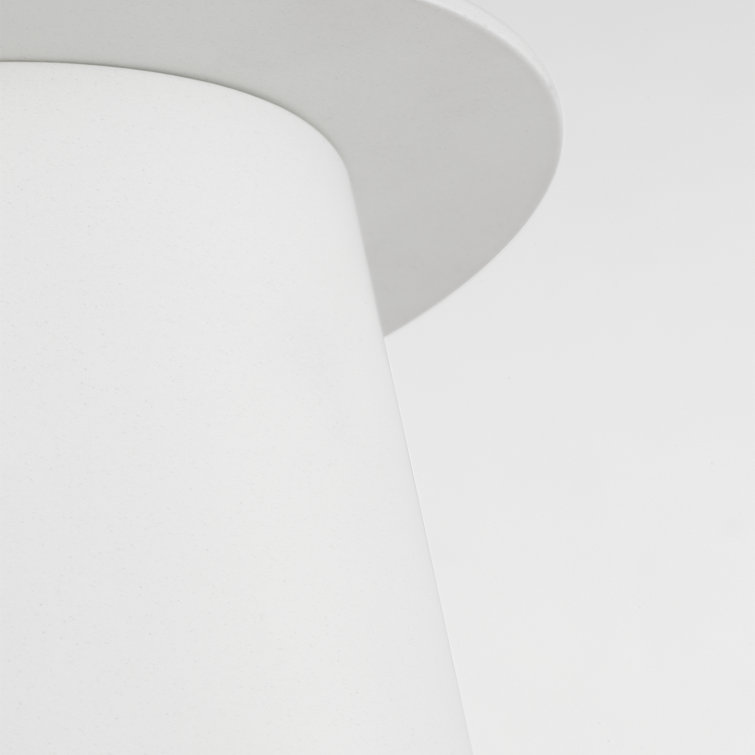 Matte White Glass Indoor/Outdoor Drum Flush Mount Light