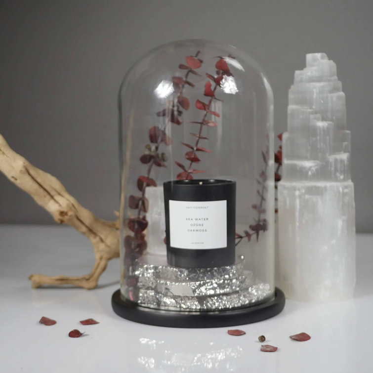 8oz Black Soy Candle with Marine, Bergamot, and Jasmine Scents