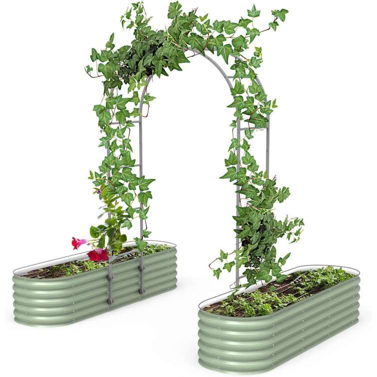 Arched Black Metal Garden Trellis for Climbing Plants