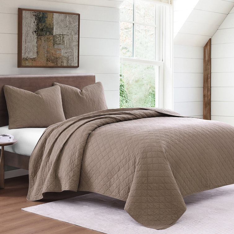 Mocha Twin Cotton Quilt Set with Standard Sham