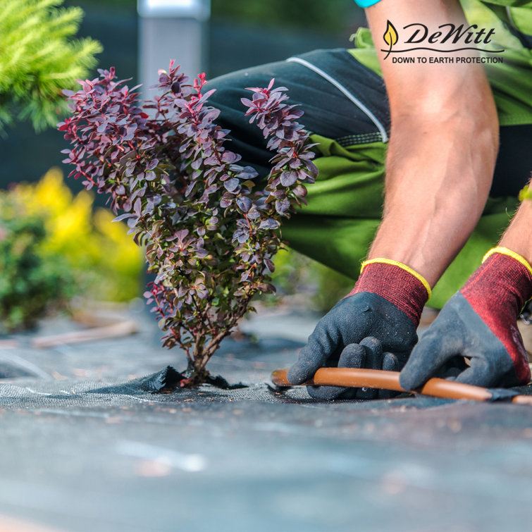 Pro 3-Oz Black Polypropylene 48.2'' Weed Barrier Landscape Fabric