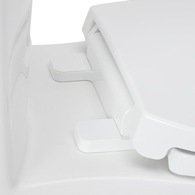 White Vitreous China Elongated One-Piece Toilet with Brushed Nickel Lever
