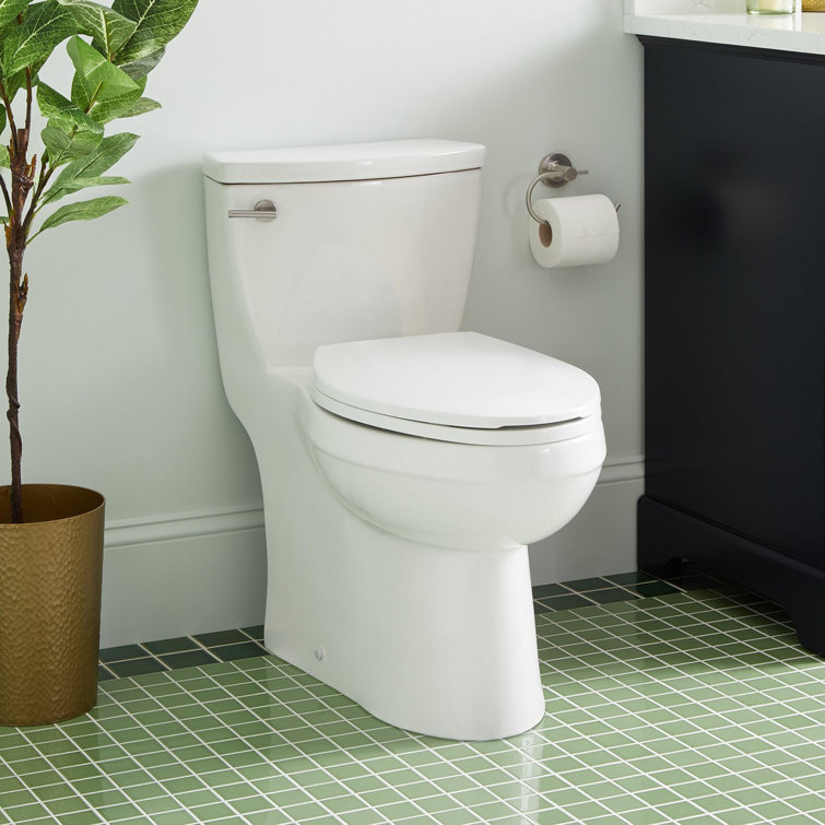 White Vitreous China Elongated One-Piece Toilet with Brushed Nickel Lever