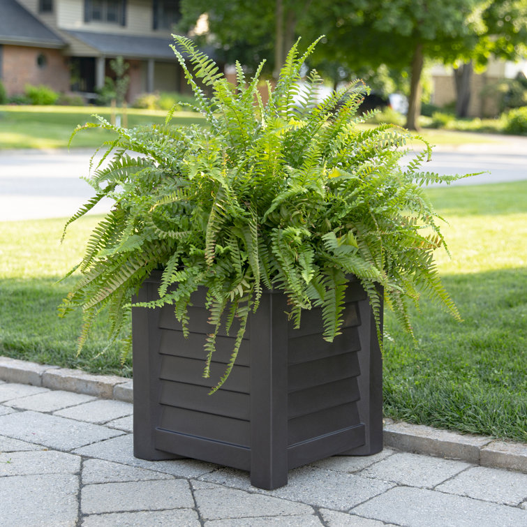 Espresso Square Resin Self-Watering Planter with Sub-Irrigation