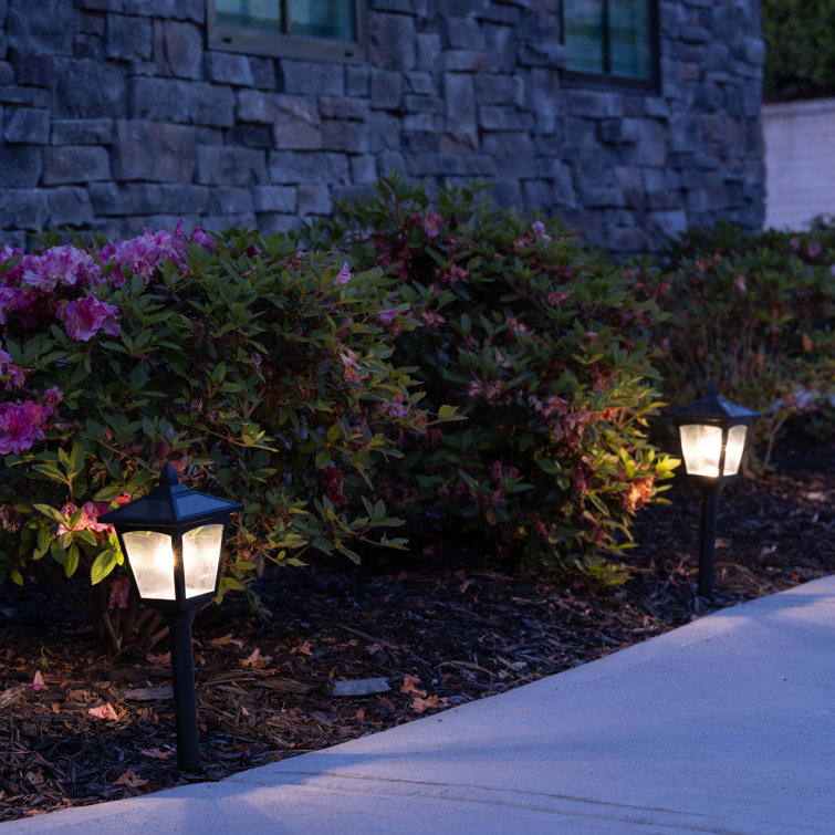 Black Stainless Steel Solar LED Pathway Lights, 4-Pack