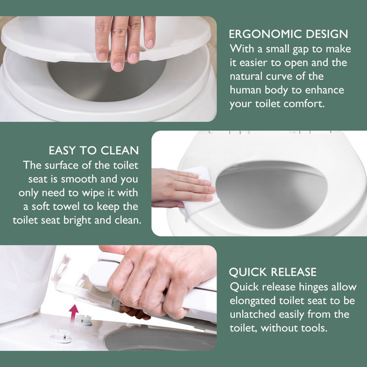 White Elongated Plastic Toilet Seat with Chrome Hinges