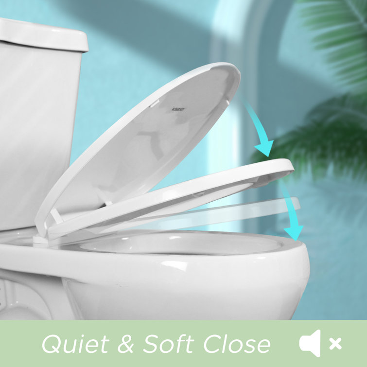White Elongated Plastic Toilet Seat with Chrome Hinges
