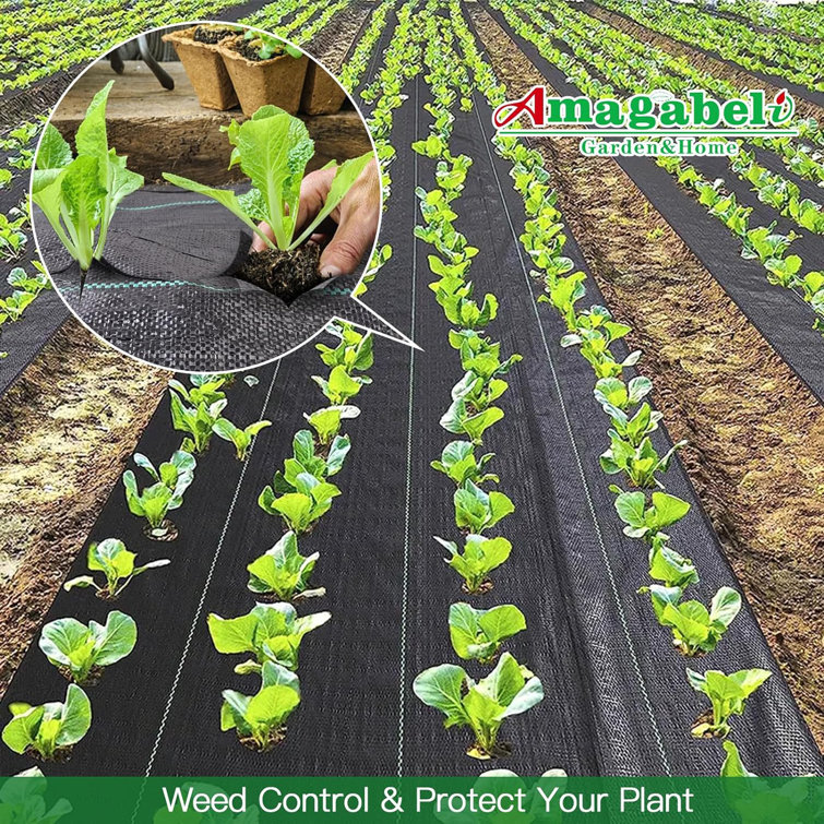 5.8oz Black Heavy Duty Polypropylene Weed Barrier Fabric
