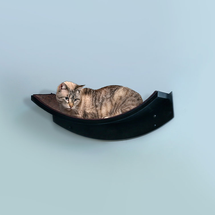 Espresso Curved Solid Wood Wall-Mounted Cat Perch