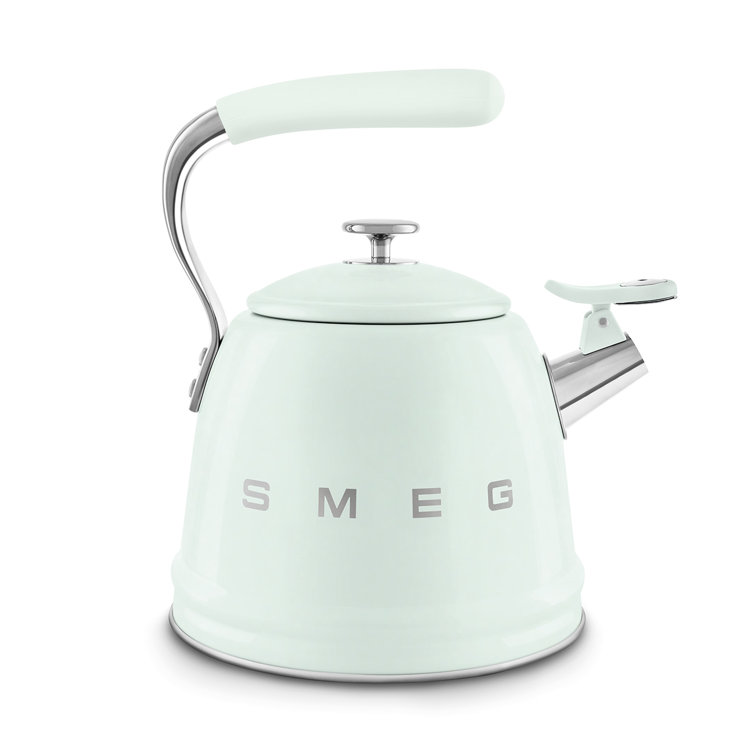 Pastel Green Stainless Steel Whistling Stovetop Kettle