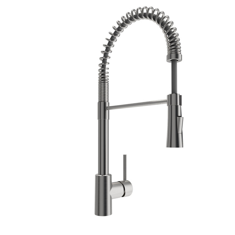 Livenza Stainless Steel Pull-Down Kitchen Faucet with Spray