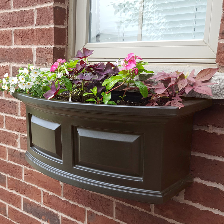 Espresso Polyethylene Self-Watering Outdoor Window Box Planter