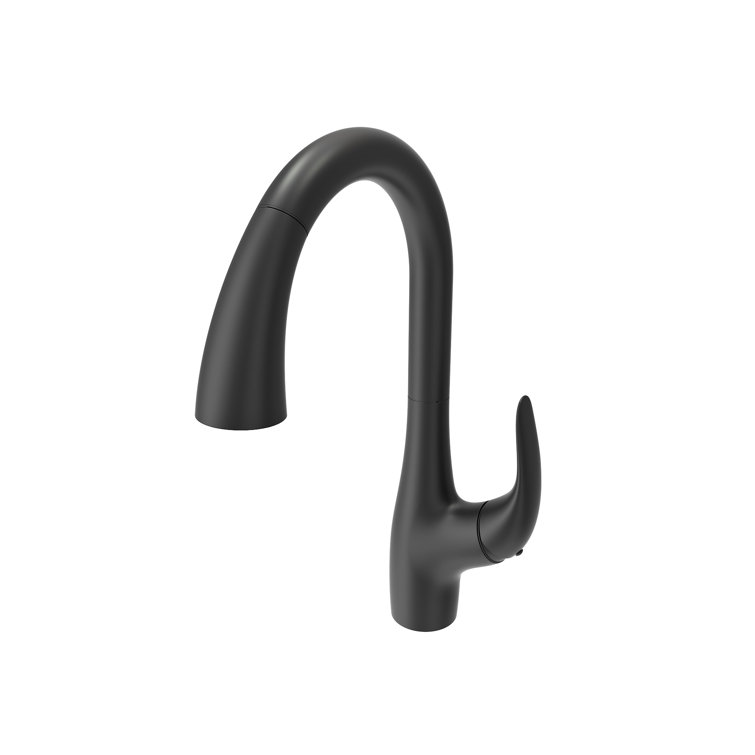 Pagano Matte Black Brass Pull-Down Kitchen Faucet with Spray