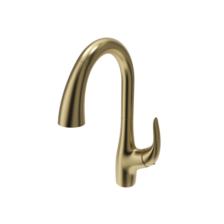 Pagano Brushed Gold Pull-Down Kitchen Faucet with Spray