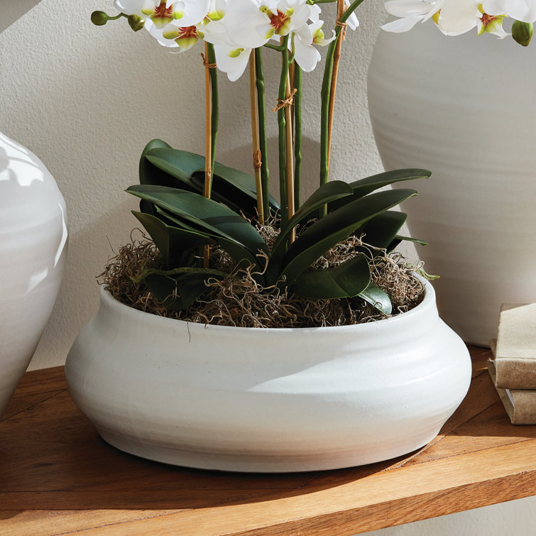 Handcrafted White Terracotta Decorative Bowl