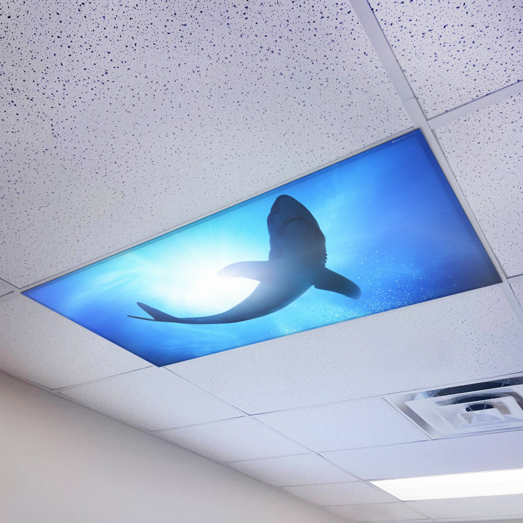 Ocean Shark Magnetic LED Fluorescent Ceiling Light Cover