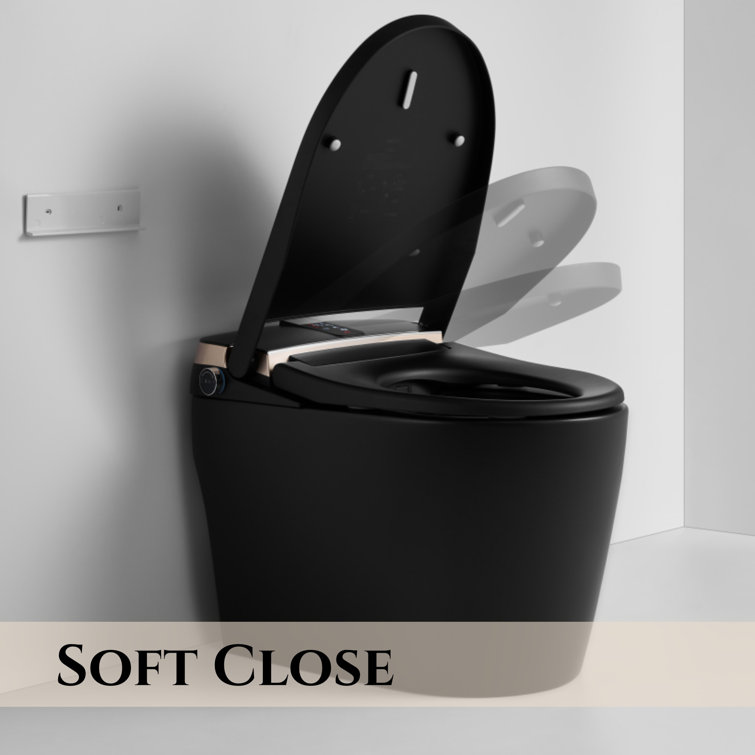 Matte Black Elongated One-Piece Smart Bidet Toilet with Dual Flush