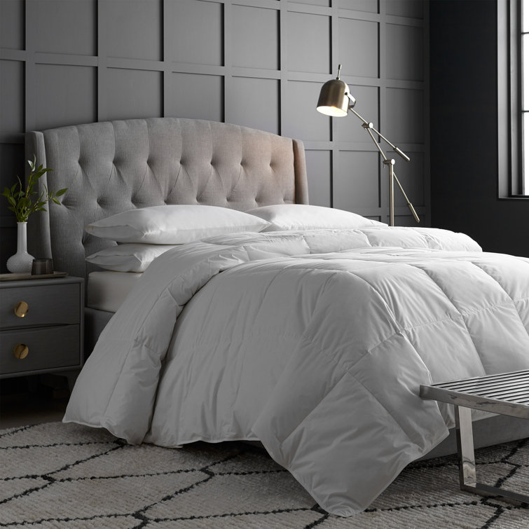 Twin XL White Cotton Hypoallergenic Down Comforter