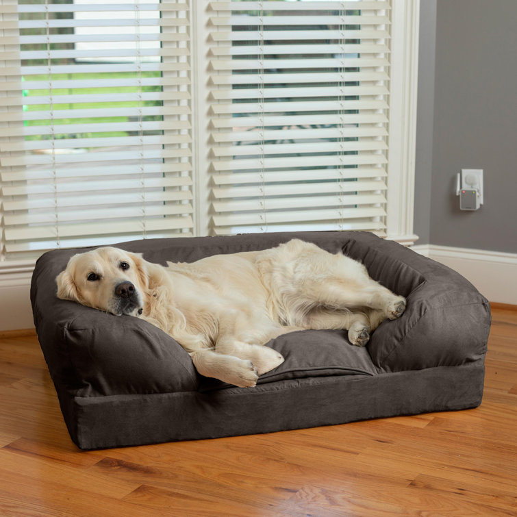 Medium Anthracite Suede Orthopedic Bolster Dog Bed