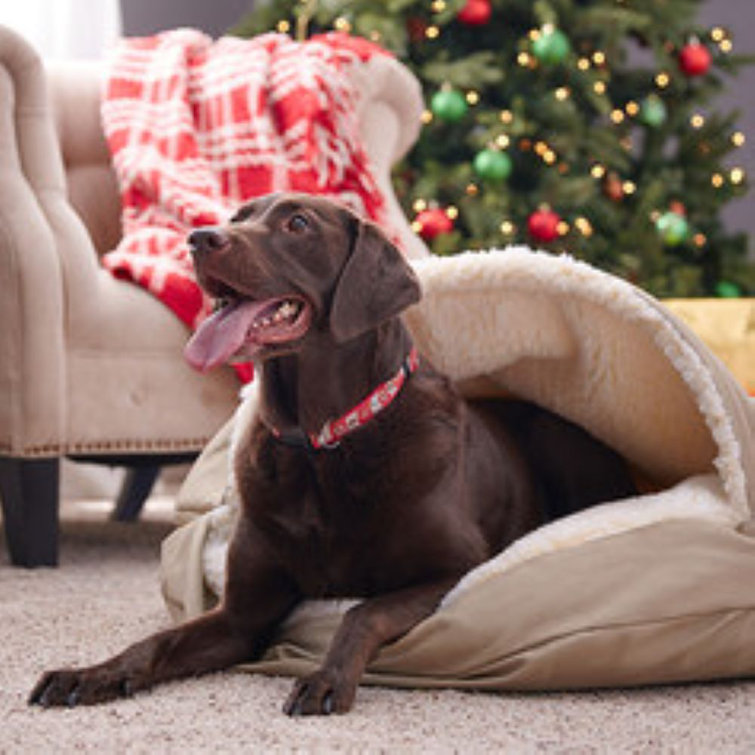 Small Khaki Poly-Cotton Hooded Dog Bed with Faux Lambs Wool Interior