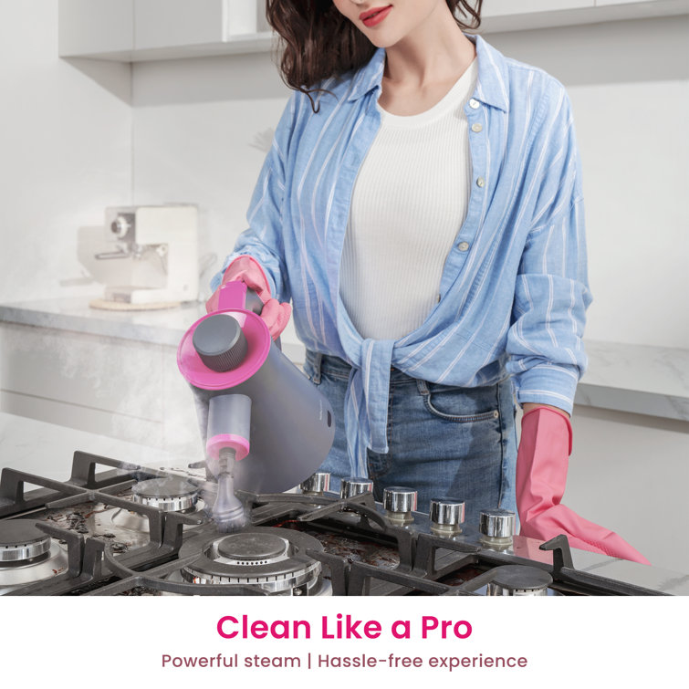 Schenley Gray and Pink Handheld High-Pressure Steam Cleaner