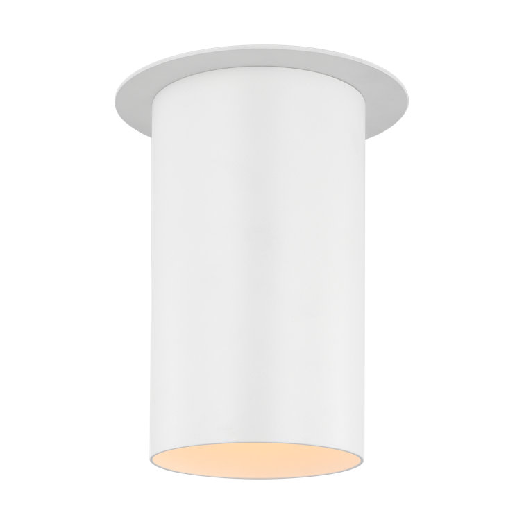 Matte White Glass Indoor/Outdoor Drum Flush Mount Light