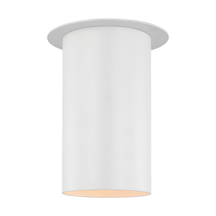 Matte White Glass Indoor/Outdoor Drum Flush Mount Light