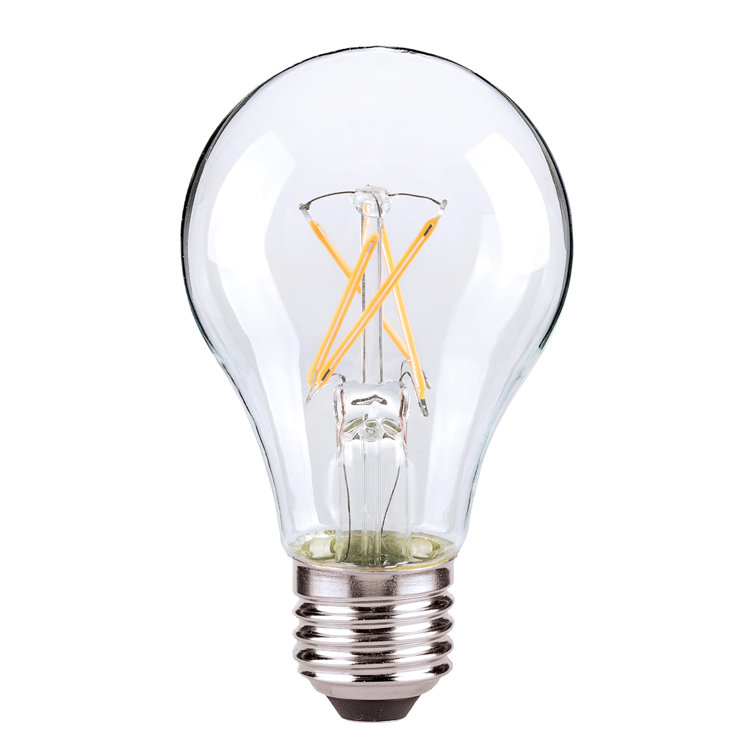 Clear Dimmable A19 LED Bulb with Screw-in Base
