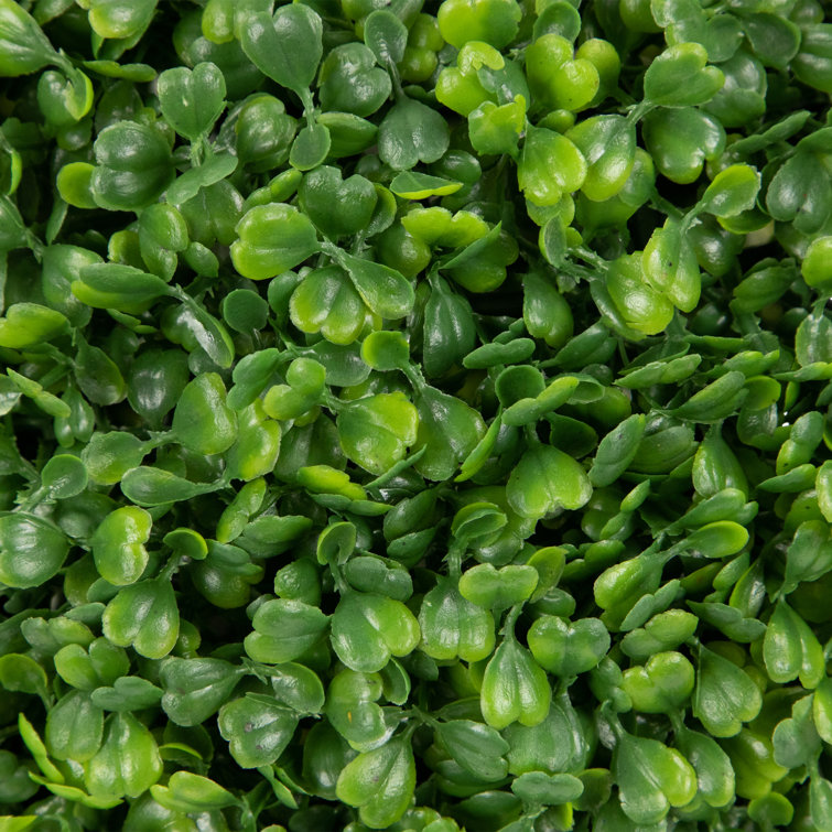 Two-Tone Green Plastic Boxwood Topiary, 13.7" Tabletop