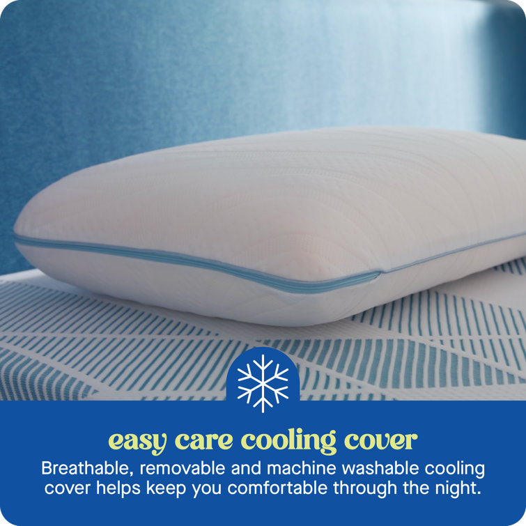 Sealy Dreamlife Standard White Memory Foam Pillow Set