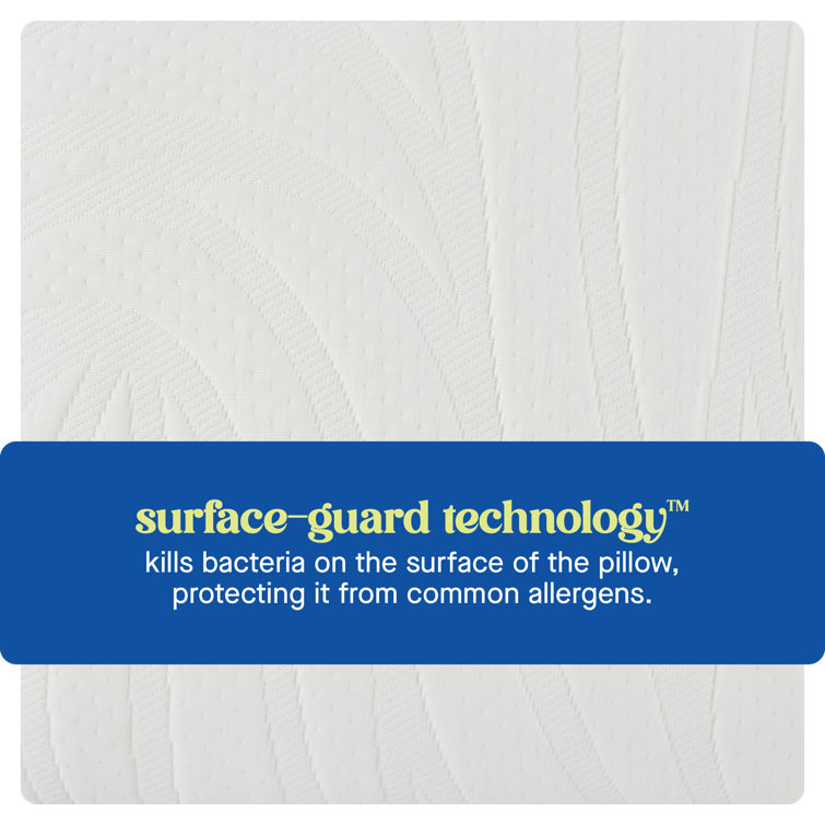 Sealy Dreamlife Standard White Memory Foam Pillow Set