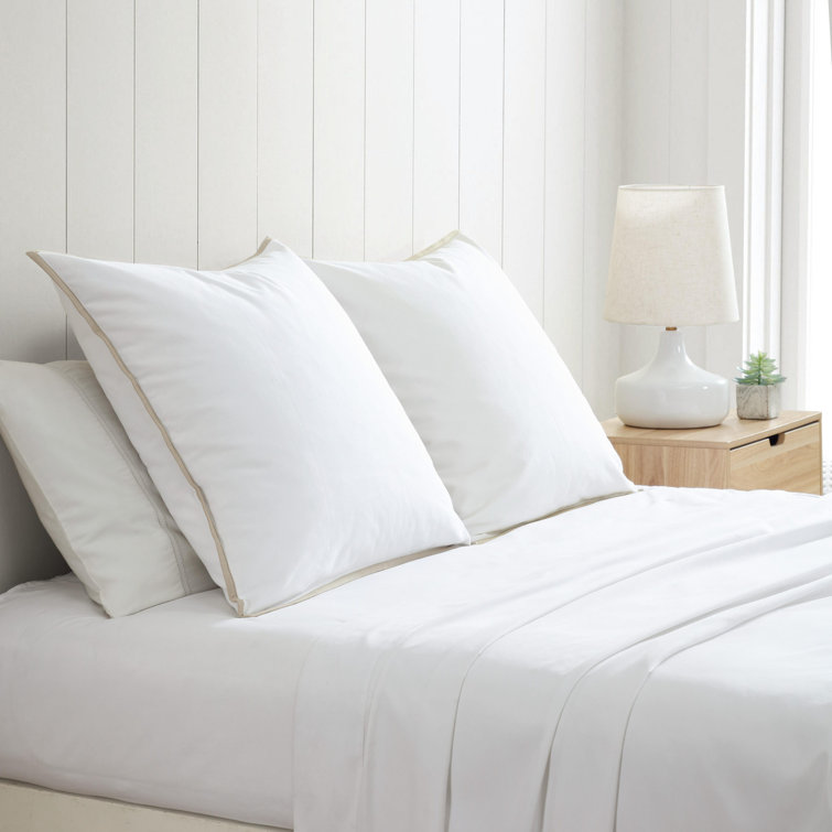 White Cotton Euro Shams with Beige Trim, 26" x 26", Set of 2