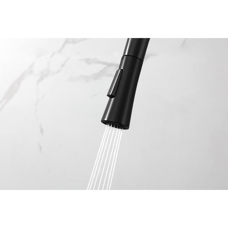 Matte Black Stainless Steel Gooseneck Kitchen Faucet with Pull-out Spray