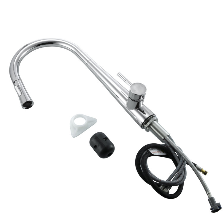 Chrome Gooseneck Pull-Down Spray Kitchen Faucet