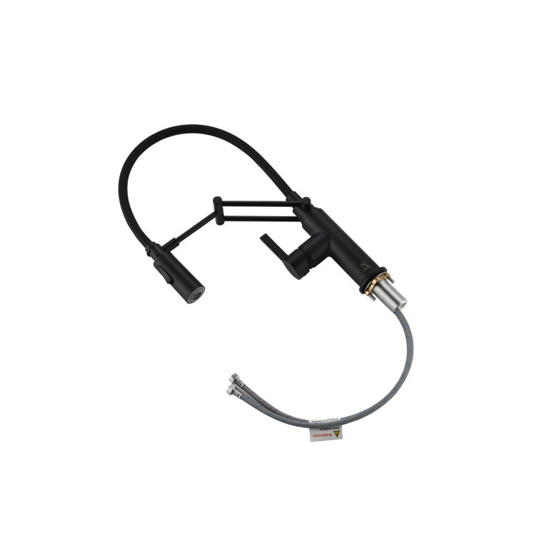 Matte Black Brass Low Arc Pull-out Spray Kitchen Faucet