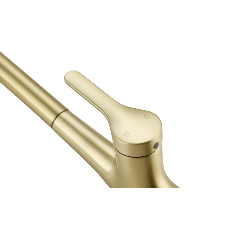 Brushed Gold Stainless Steel Gooseneck Kitchen Faucet with Pull-out Spray