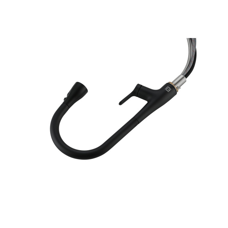 Matte Black Gooseneck Pull-Down Kitchen Faucet with Spray