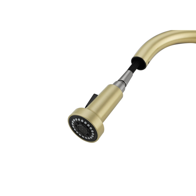 Brushed Gold Stainless Steel Gooseneck Kitchen Faucet with Pull-out Spray