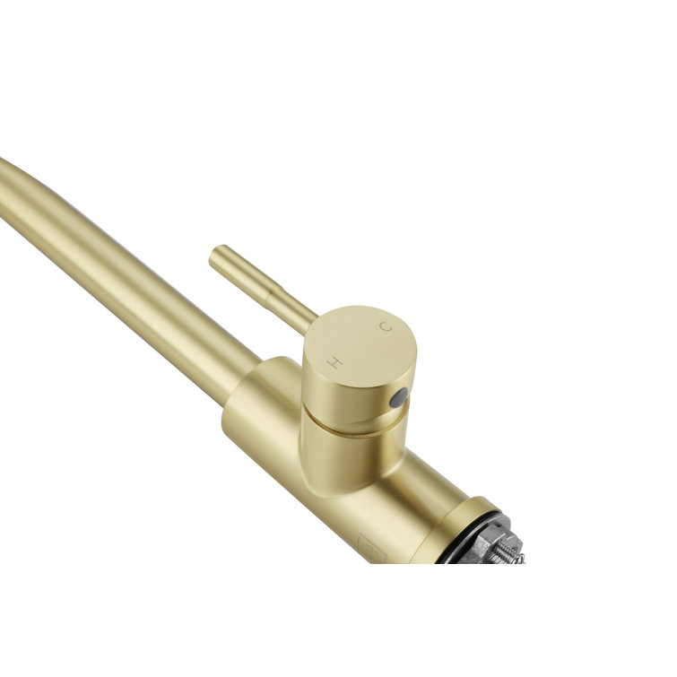 Brushed Gold Stainless Steel Gooseneck Kitchen Faucet with Pull-out Spray