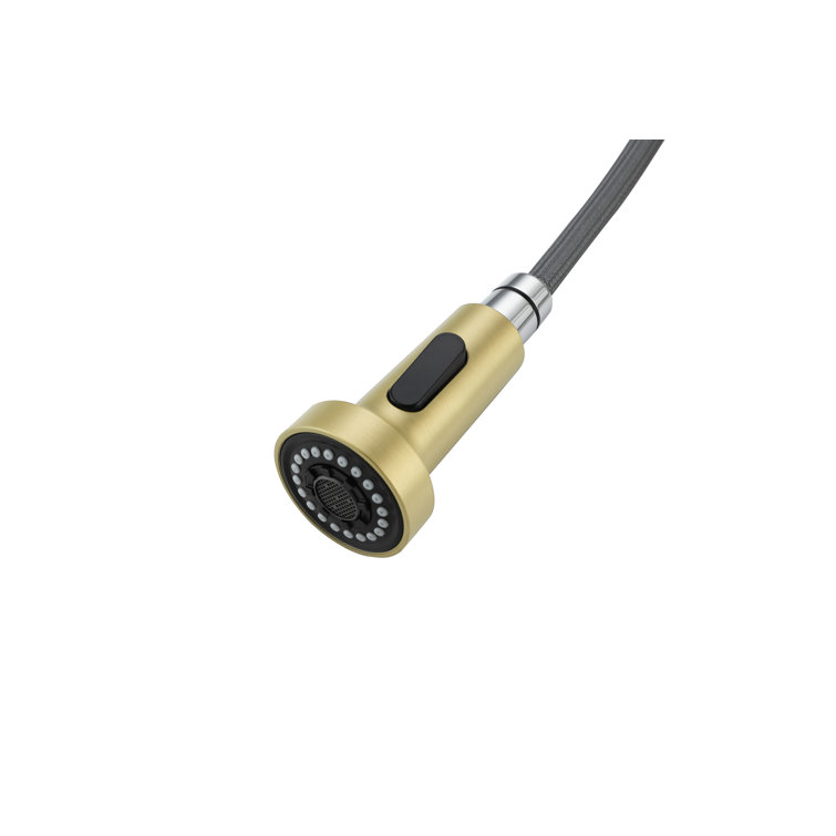 Brushed Gold Brass Spring Neck Kitchen Faucet with Pull-out Spray